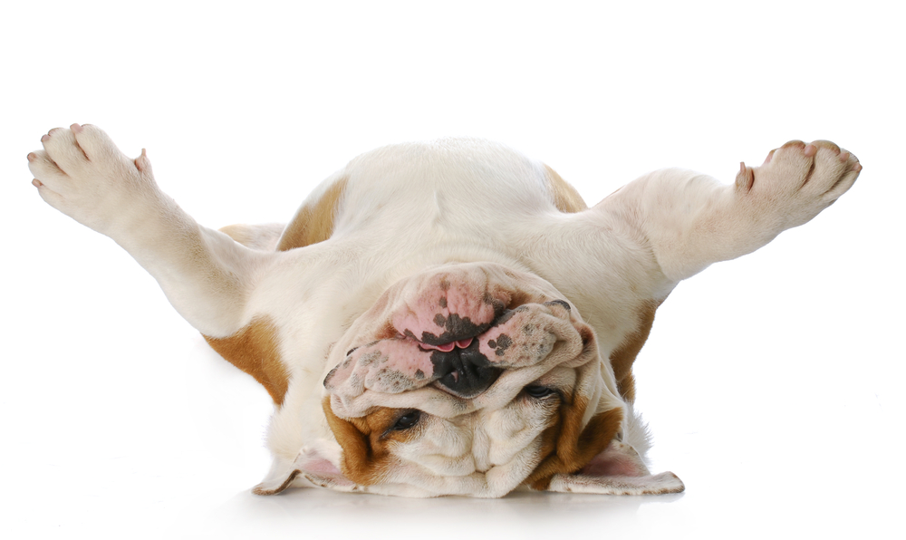How to Increase Employee Engagement by Turning It Upside Down