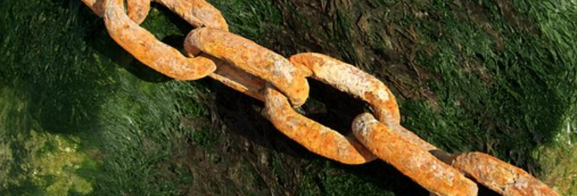 How to Find Weak Links in Your Corporate Culture