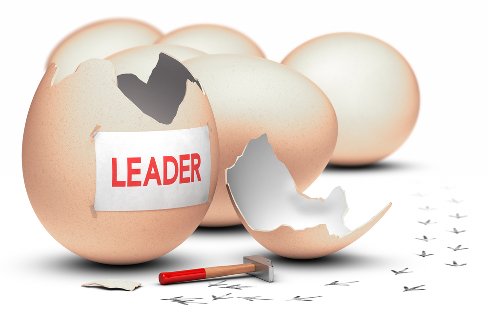 5 New Manager Basics for Being an Effective Leader