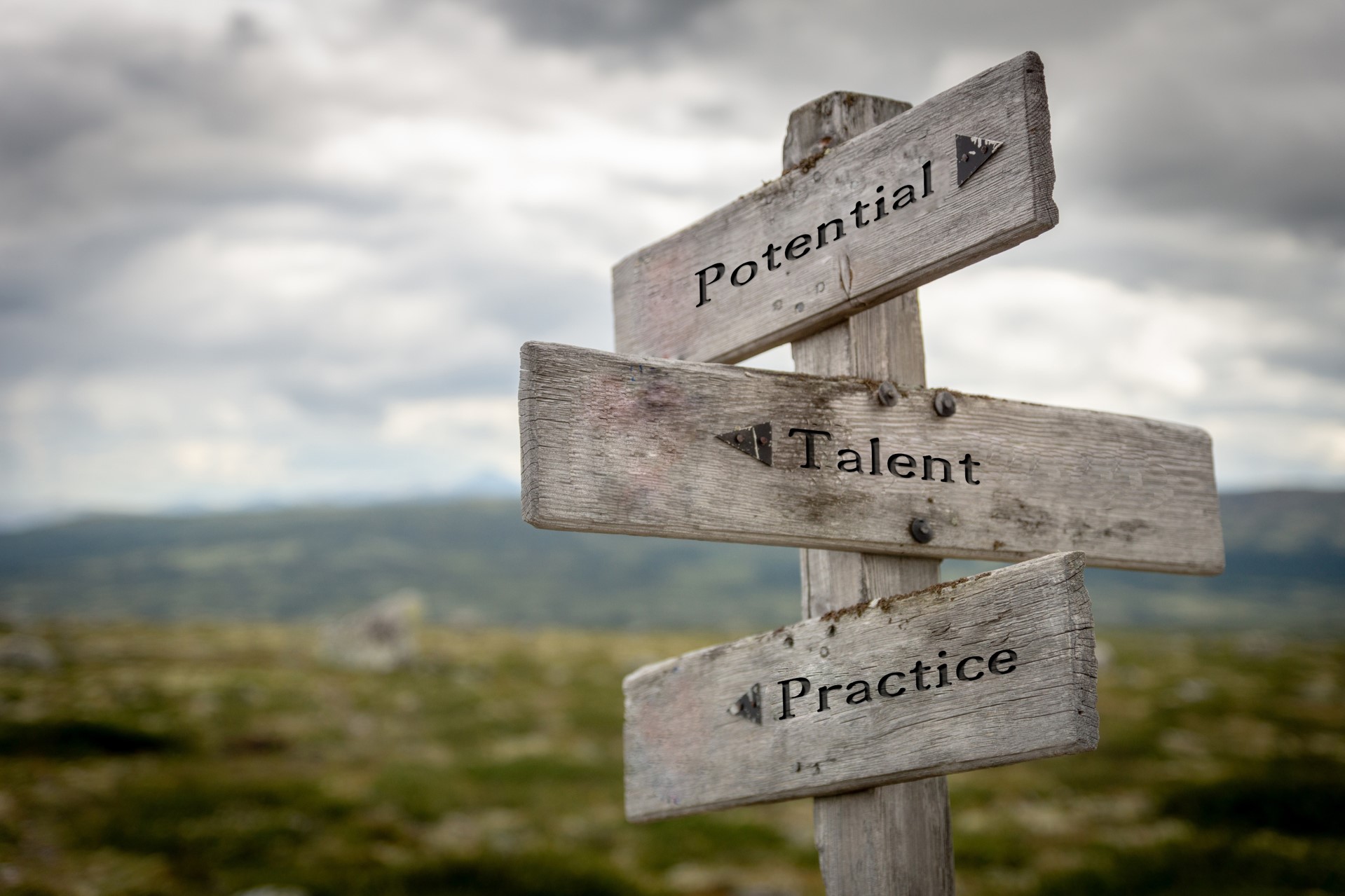 4 Strategies to Maximize Employee Talent Development