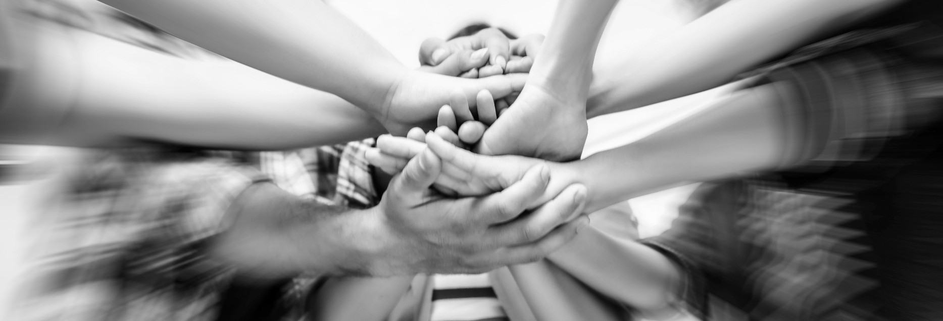 LSA-GLOBAL-corporate-values