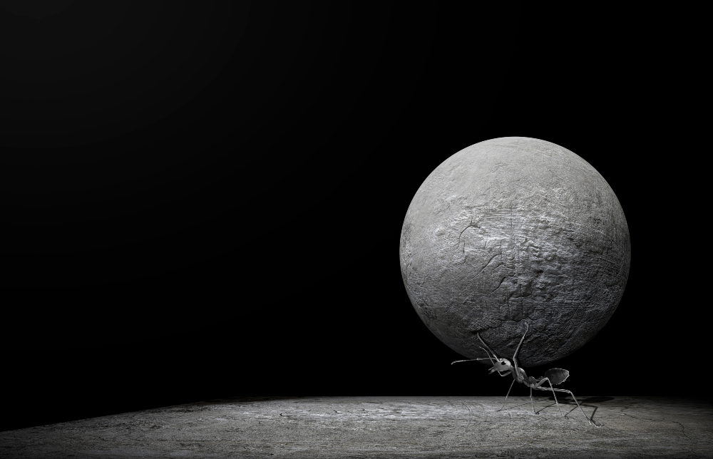 Discretionary Effort at Work: Leader Guide to Higher Performance